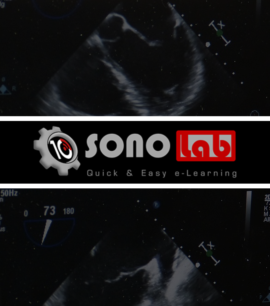 SONO lab(소노랩)